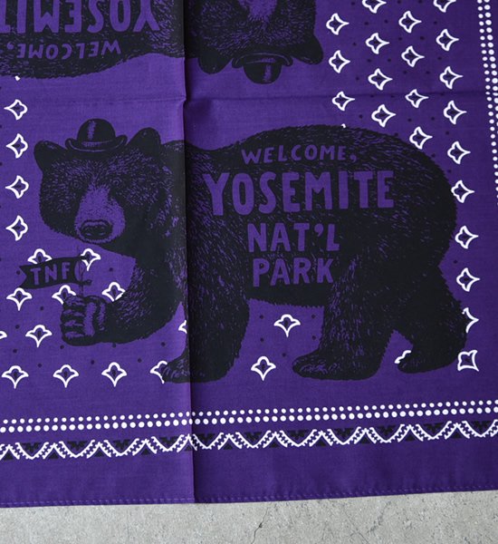 【THE NORTH FACE PURPLE LABEL】ノースフェイスパープルレーベル Organic Cotton Bandana ※ネコポス可