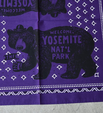 【THE NORTH FACE PURPLE LABEL】ノースフェイスパープルレーベル Organic Cotton Bandana ※ネコポス可