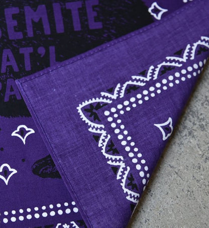 【THE NORTH FACE PURPLE LABEL】ノースフェイスパープルレーベル Organic Cotton Bandana ※ネコポス可