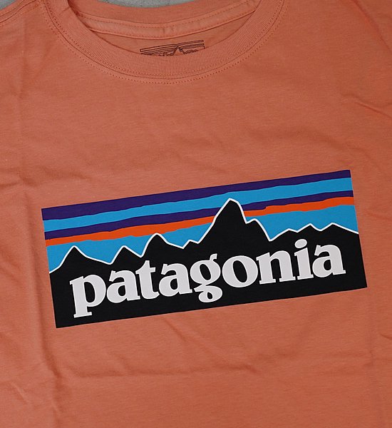 【patagonia】パタゴニア Boys' P-6 Logo Organic T-Shirt "2Color" ※ネコポス可