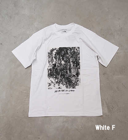 【THE NORTH FACE】ザノースフェイス men's S/S Walls Tee "2Color" ※ネコポス可