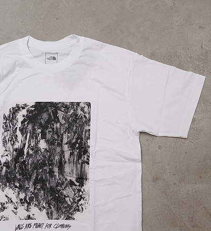 【THE NORTH FACE】ザノースフェイス men's S/S Walls Tee "2Color" ※ネコポス可