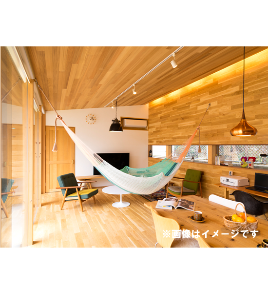 【the Hammock】ザ・ハンモック Hammock Jumbo "j141"