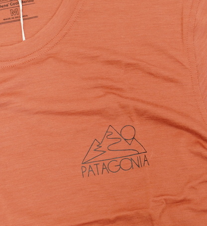 【patagonia】パタゴニア men's Capilene Cool Merino Graphic Shirt "2Color" ※ネコポス可